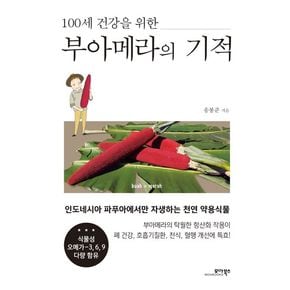 부아메라의 기적