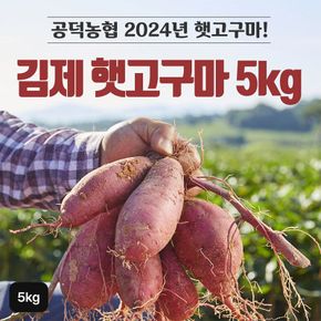 2024년 김제 햇 밤고구마 5kg(1박스)[34486303]