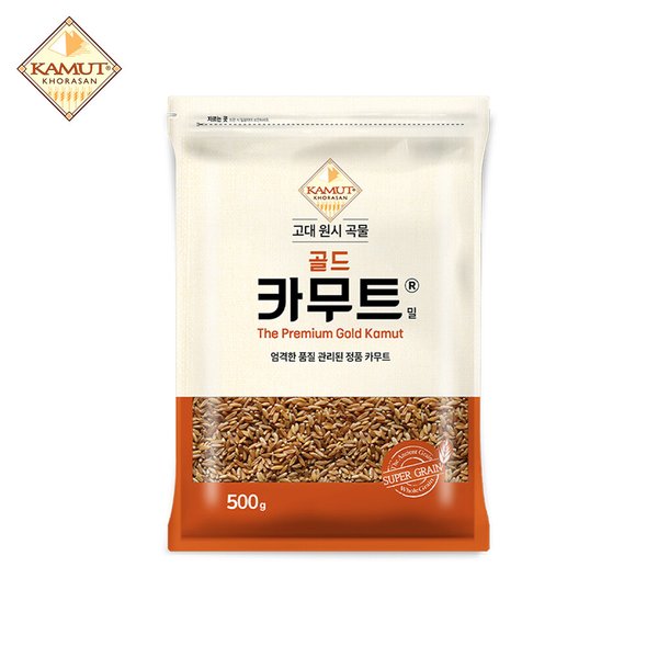 확대된 대표 이미지 P
