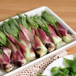 지리산 엄나무순 개두릅 음나무순 500g 1kg
