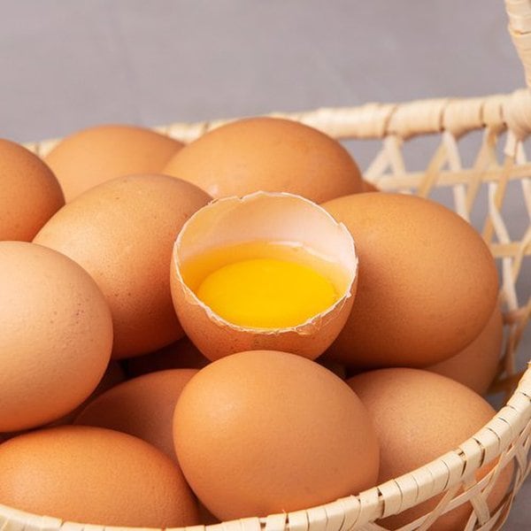 동물복지 유정란 15개입 (대란, 780g)