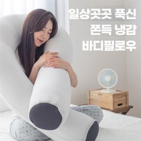 냉감바디필로우 쿨바디 아이스 여름 라텍스 에어 시원한 바디필로우