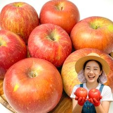  포미식탁 경북 못난이 가정용 부사사과 5kg 중과