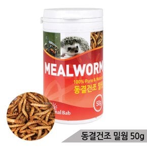 밀웜50g(대) 동결건조 고슴도치 파충류 조류 천연사료