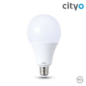 씨티오 LED 벌브 램프 12w 주광 전구 1등급