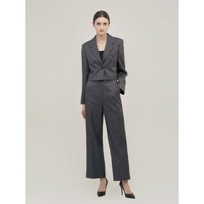 High Waist Long Wide Slacks(gray)_YS24P096