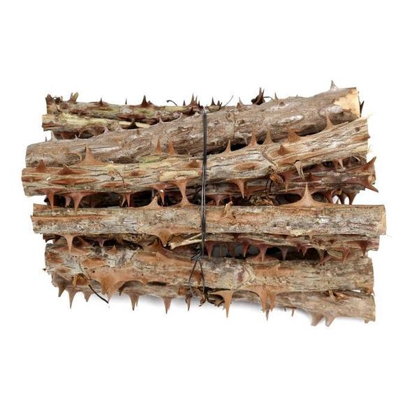 [신선약초] 자연산 국산 엄나무 1단 / 음나무 (S10455746)