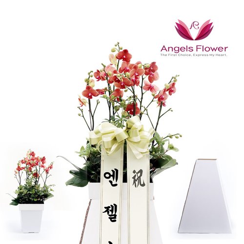 상품 이미지1