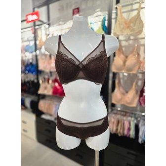 비너스 [시흥점] (시흥) 비너스 튤레이스 풀 커버리지 패드브라, 헴팬티 세트 [VBR1496/VPT1496H-BR]