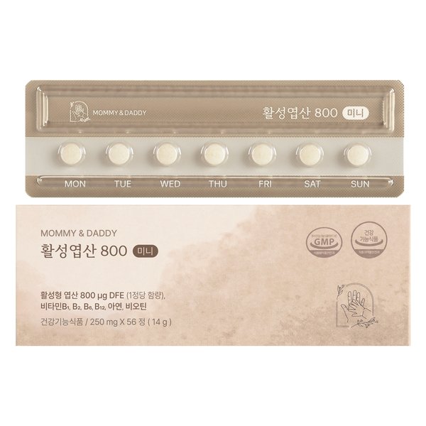 활성엽산 800 임산부 영양제