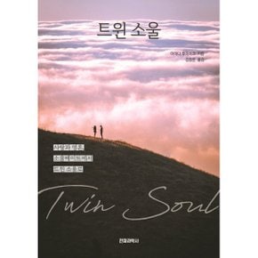 (중고/최상)트윈 소울 : 사랑과 영혼 소울메이트에서 트윈 소울로