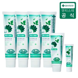 덴티스테 플러스화이트 브리즈민트 치약 6종 160gX4,60gX1,20gX1