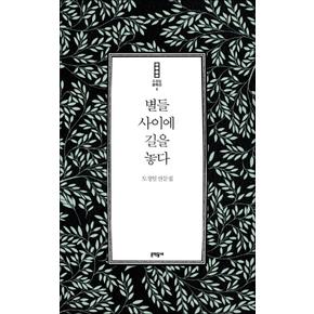 별들 사이에 길을 놓다 (도정일 문학선 2)