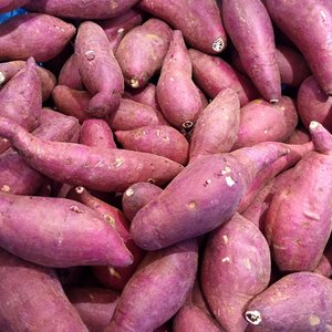 더조은푸드 [박대성님 생산] [더조은] 베니하루까 해남 꿀고구마 3kg 한입 (30-60g 내외)