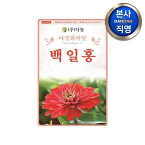 백일홍 씨앗 1kg . 백일초 정원 조경 꽃밭 관상용 야생화 꾸미기 꽃씨 종자