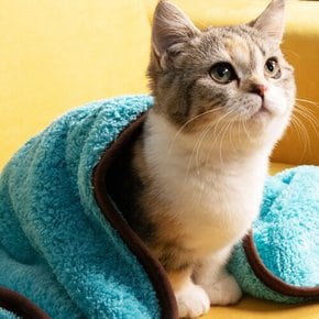펫 장갑 CGV 강아지 고양이 극세사 목욕 수건 담요