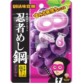일본 UHA 미카쿠토 닌자 스틸 포도맛 구미 젤리 10개입 일본젤리