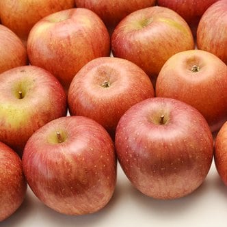 친환경팔도 [경상북도][산지직송] 과즙가득 의성 흠집 사과(중) 10kg