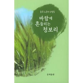 바람에 흔들리는 청보리