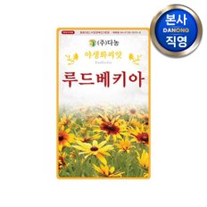 루드베키아 씨앗 1000립 . 원추천인국 조경 정원 화단 꽃밭 야생화 꽃씨 종자