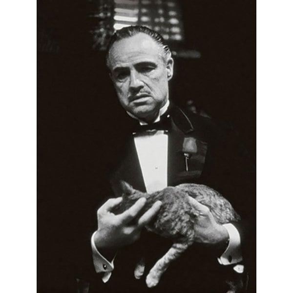 오리지널 영국 포스트 카드 엽서 16종