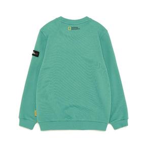 K233USW070 앞판 그래픽 맨투맨 MINT GREEN