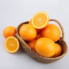 썬키스트 호주산 네이블 오렌지 8kg (32-39입)