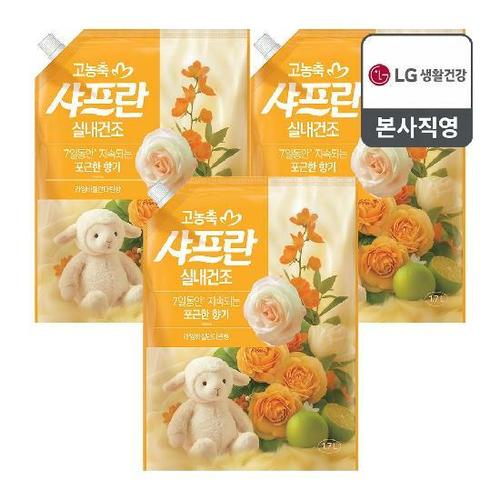 이미지 P