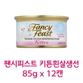 팬시피스트 화이트라벨 키튼흰살생선 85g x 12캔 고양이 주식 간식캔