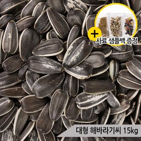 건강알곡 대형 해바라기씨 15kg 앵무새 햄스터 간식