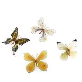 한국의 나비 4종