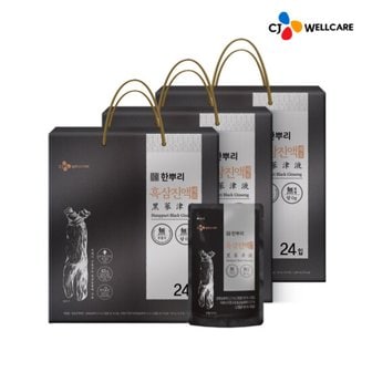  [CJ공식] 한뿌리 흑삼진액 제로 24포 3박스