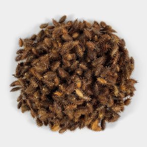 국내산 창이자 도꼬마리 독고마리 250g