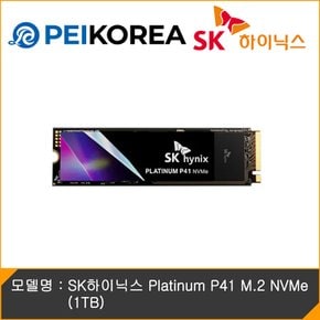 SK하이닉스 Platinum P41 M.2 NVMe (1TB)