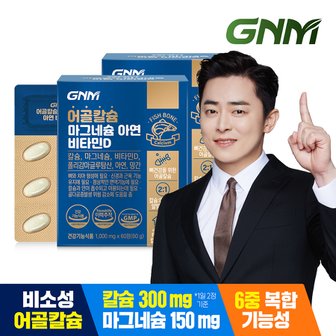 GNM자연의품격 어골칼슘 마그네슘 아연 비타민D 60정 x 2박스 / 망간 폴리감마글루탐산 뼈건강