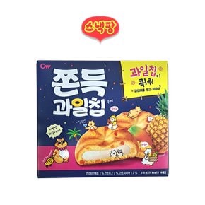 쫀득과일칩 10개입 215g