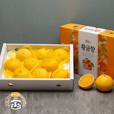 서귀포 현가원 황금향 3kg (11-15과, 실중량)