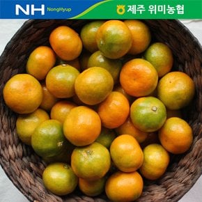 제주위미농협 하우스감귤 고당도싱귤생귤3kg(30-40과)