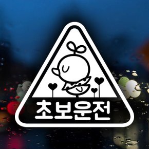 초보운전 삐약이 세모 / 초보운전 반사스티커 자동차스티커