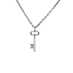 SLN.D116 Dolphin link key necklace (200006)