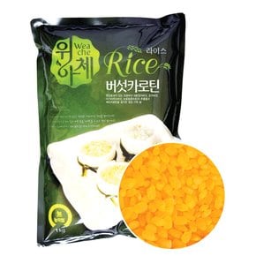 닥터브레인 기능성컬러쌀 버섯카로틴라이스 1kg