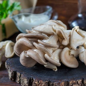 늘바른 국내산 친환경 무농약 느타리버섯200g10팩