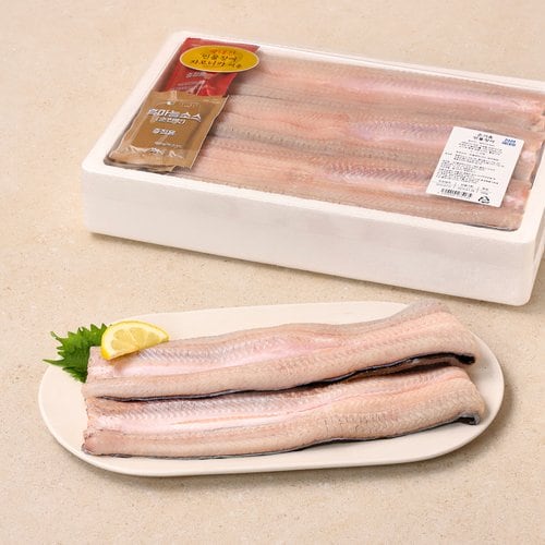 상품 이미지1