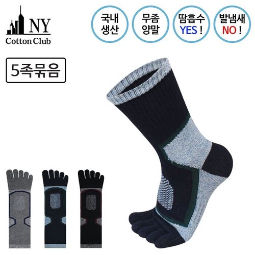 이미지 P