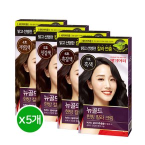 새치머리용 염색약 5호 진갈색 134g x 5개 무료배송