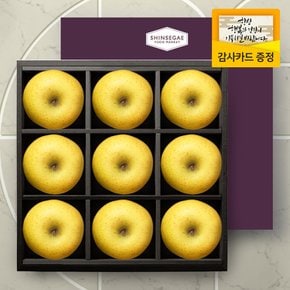 [명절이후 순차출고][산지직송] 브리즈 11호 과일 선물세트 시나노골드9입 2.9kg (보자기 포장)