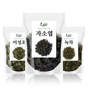 어성초 자소엽 녹차 세트 400g 어자녹차