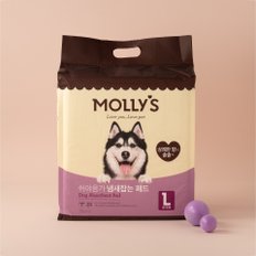 몰리스 냄새잡는 패드 L 35매