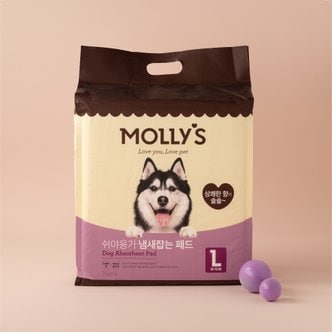 MOLLY'S 몰리스 냄새잡는 패드 L 35매