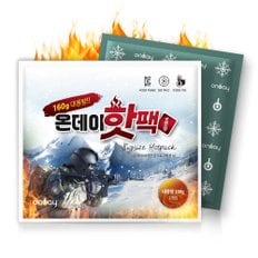 온데이 포켓형 군용 핫팩 대용량 160g X 50개